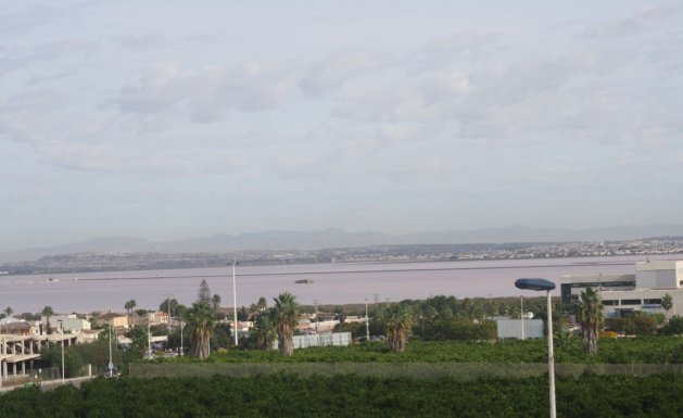 Neuf - Villa Adossée - Torrevieja