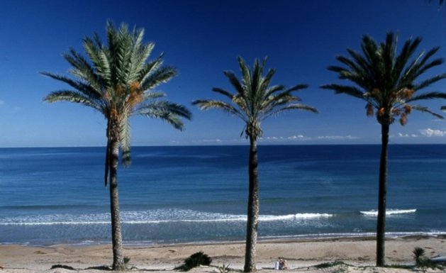 Nueva construcción - Bungalow - Pilar de La Horadada