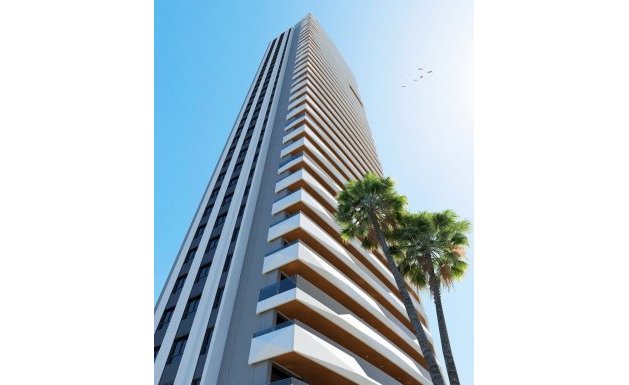 Neuf - Appartement - Benidorm