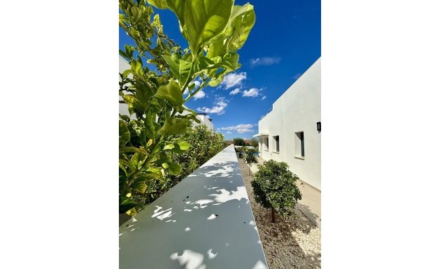 Nueva construcción - Chalet - Benijófar