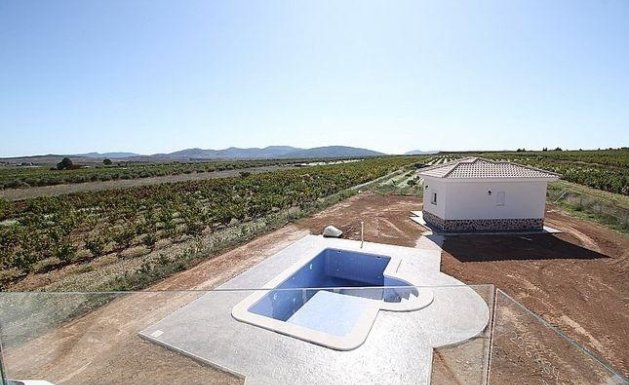 Nueva construcción - Chalet - Pinoso