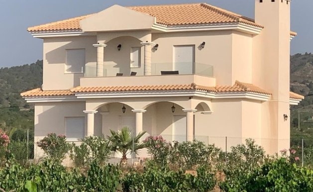 Nueva construcción - Chalet - Pinoso