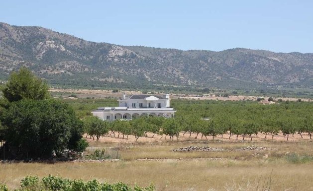 Nueva construcción - Chalet - Pinoso
