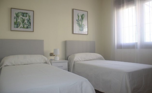 Neuf - Villa  - Torrevieja