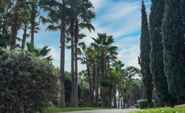 Neuf - Appartement - Fuengirola