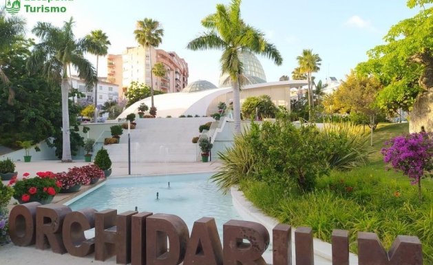 Neuf - Appartement - Estepona