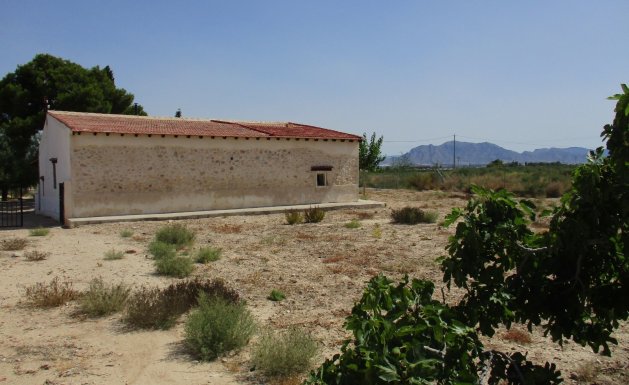 Sale - Villa - CREVILLENTE - Crevillente
