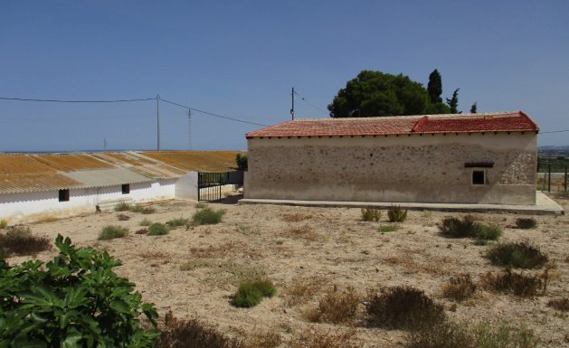 Sale - Villa - CREVILLENTE - Crevillente
