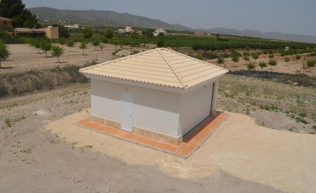 Neuf - Villa  - Pinoso