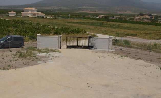 Neuf - Villa  - Pinoso