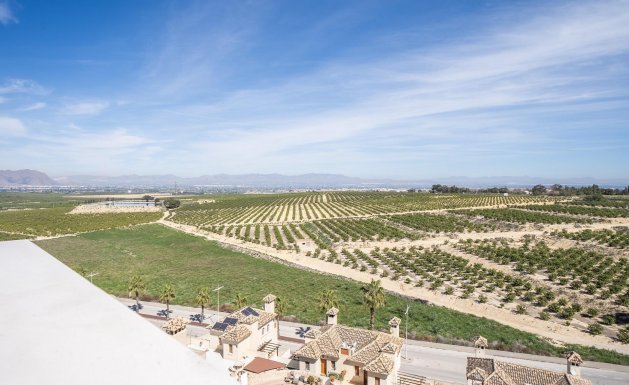 New Build - TOWNHOUSE - Algorfa