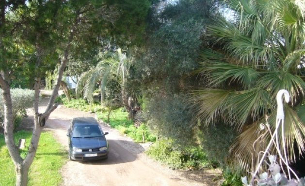 Venta - Chalet - Daya Nueva