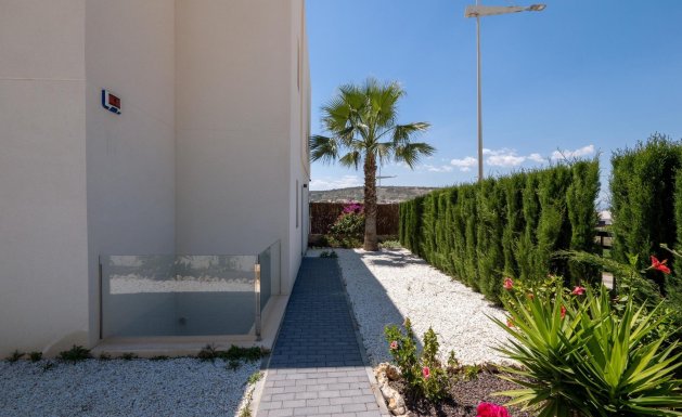Neuf - Villa  - Algorfa