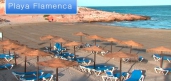  - Apartamento - Orihuela Costa - Playa Flamenca