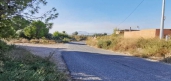  -  - CREVILLENTE - Crevillent