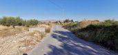  -  - CREVILLENTE - Crevillent