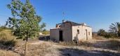  -  - CREVILLENTE - Crevillent