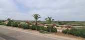  -  - Torrevieja - La Mata